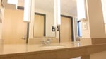 Sink and Vanity